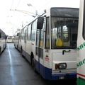 den-bez-trolejbusu-058.jpg